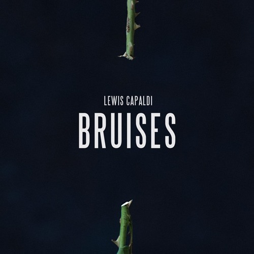 Cover - Lewis Capaldi - Bruises (Delta Jack Remix)