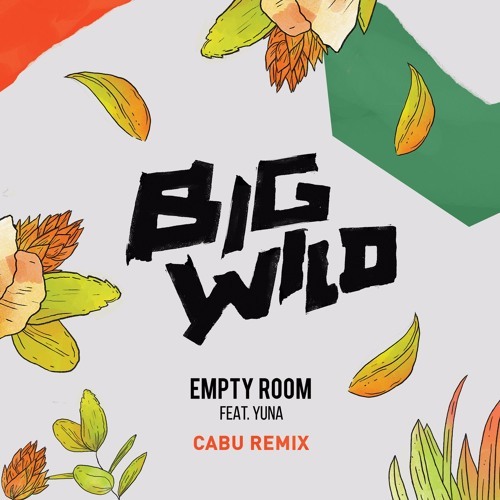 Cover - Big Wild - Empty Room (Cabu Remix)